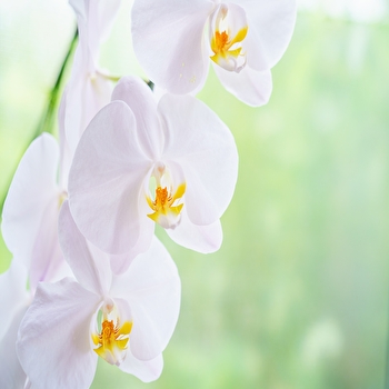 Iv8W5wvnisiGzG91766764428_1766764445