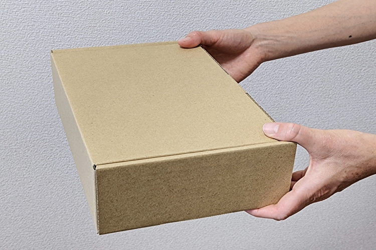 TJYy972E1WuWypp1764601076_1764601091